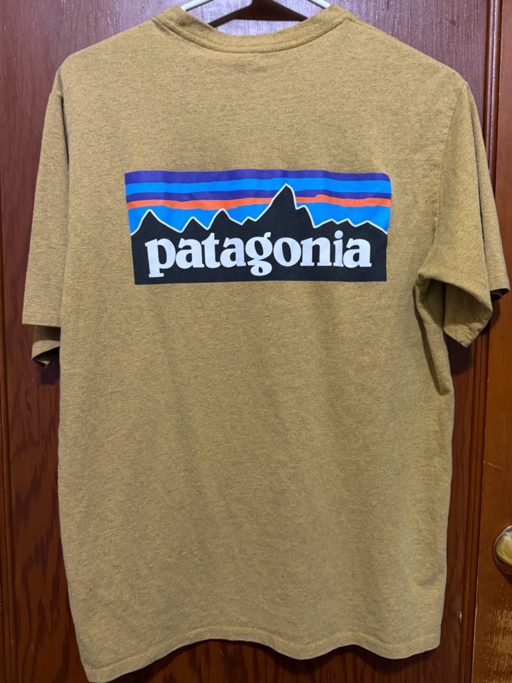 Patagonia Mustard Interior Print Tee